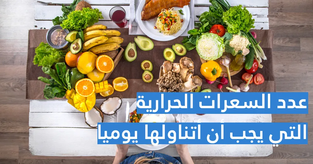 عدد السعرات الحرارية التي يجب أن أتناولها يوميا